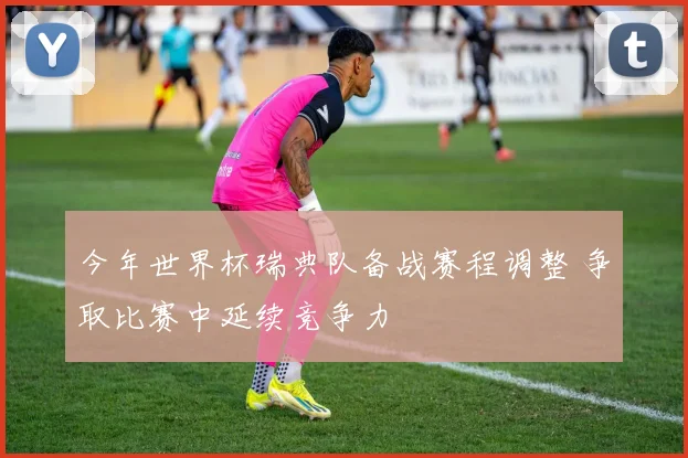今年世界杯瑞典队备战赛程调整 争取比赛中延续竞争力