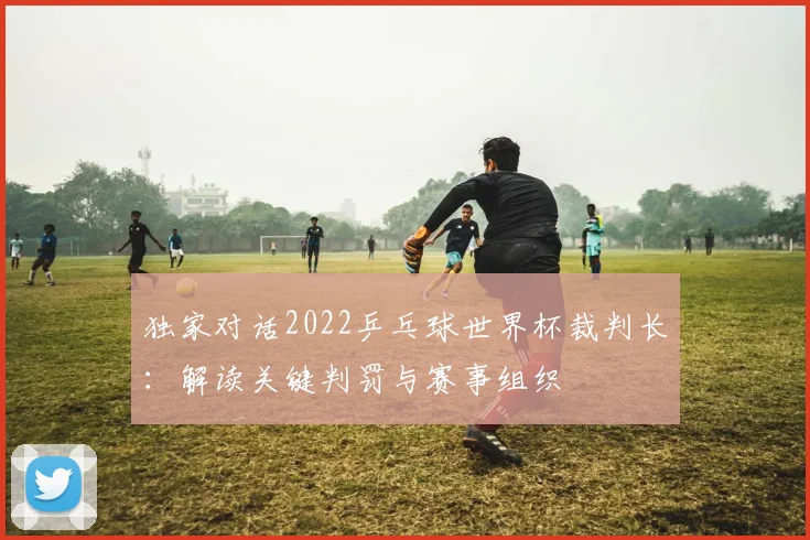 独家对话2022乒乓球世界杯裁判长：解读关键判罚与赛事组织