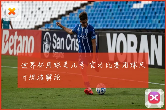 世界杯用球是几号 官方比赛用球尺寸规格解读