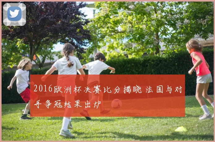 2016欧洲杯决赛比分揭晓 法国与对手争冠结果出炉