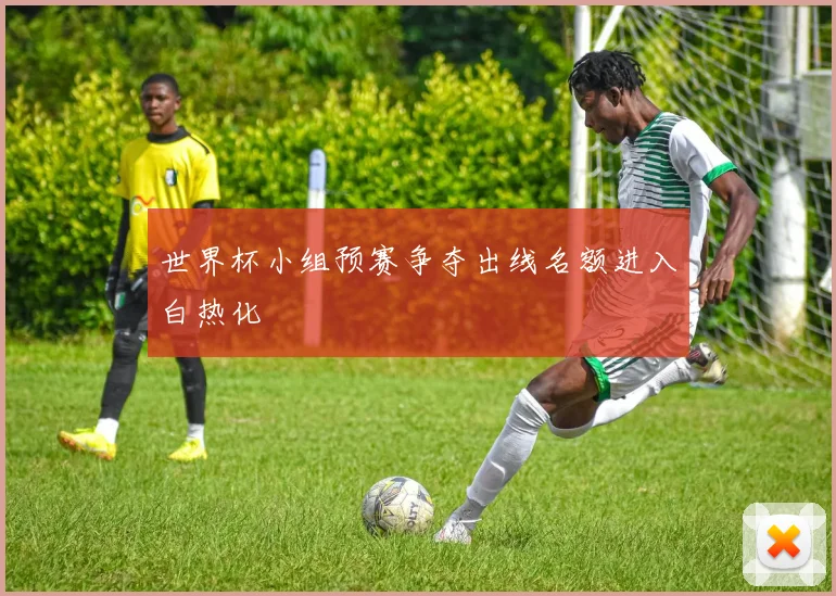 世界杯小组预赛争夺出线名额进入白热化