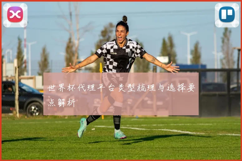 世界杯代理平台类型梳理与选择要点解析