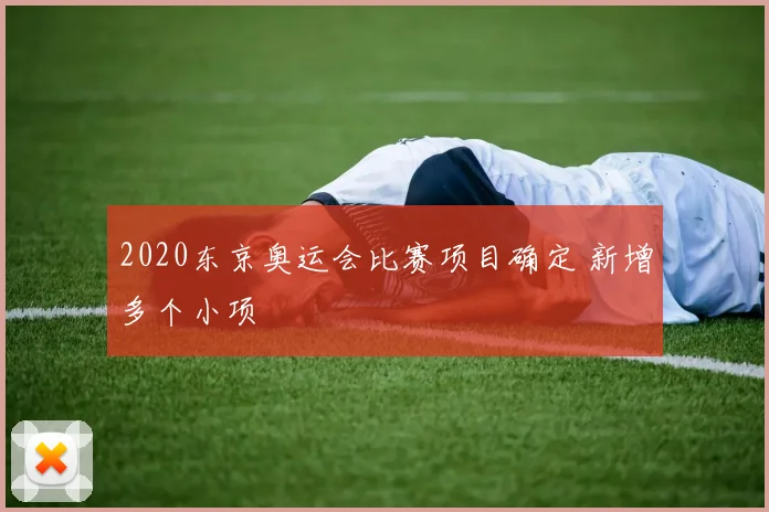 2020东京奥运会比赛项目确定 新增多个小项