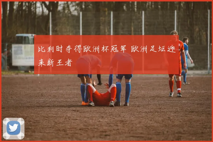 比利时夺得欧洲杯冠军 欧洲足坛迎来新王者