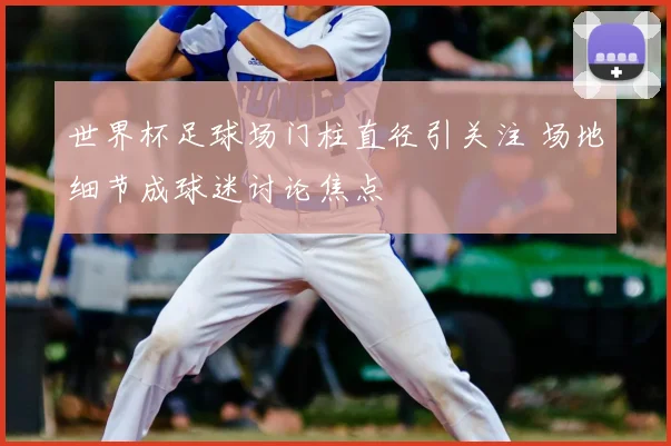 世界杯足球场门柱直径引关注 场地细节成球迷讨论焦点